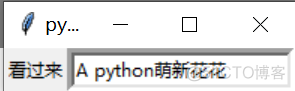 python tkinter项目 python的tkinter_新手_04