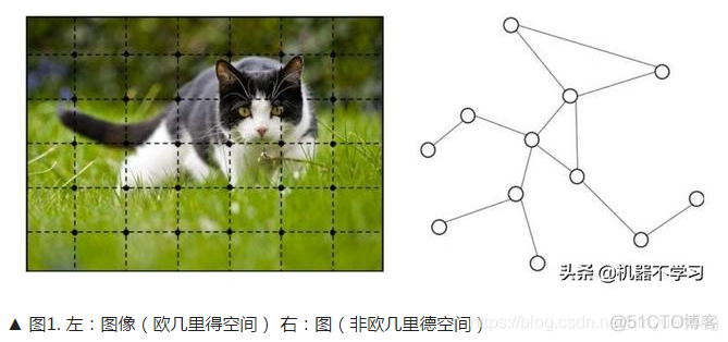 2020 图神经网络 图神经网络综述_图神经网络