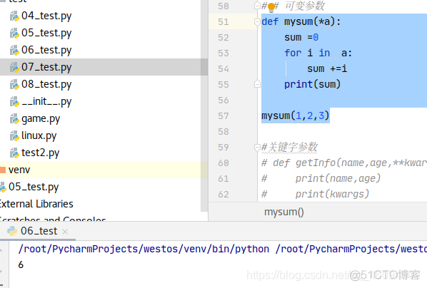 python 函数 定义输入变量类型 python定义函数类型参数_可变参数_04