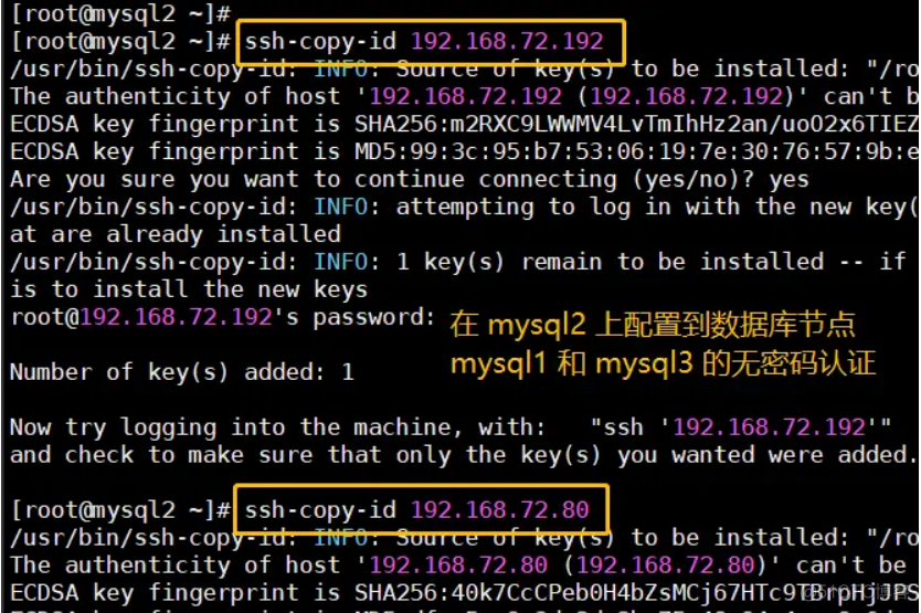 mha 管理节点 和 mysql 网段 mysql mha集群_数据库_35