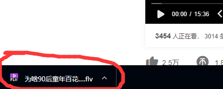 手机B站html5 手机B站怎么下载视频_缓存文件_19