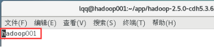 Hadoop伪分布50070端口无法访问 hadoop伪分布式的搭建_hdfs_07