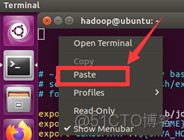 Hadoop安装配置 windows hadoop安装林子雨_Ubuntu_22