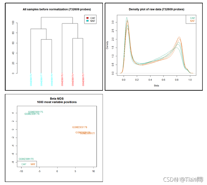 甲基化芯片数据分析 850k甲基化芯片_生物信息学_06