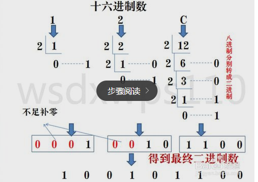 Java 二进制流转换为json java转化二进制_16进制_03