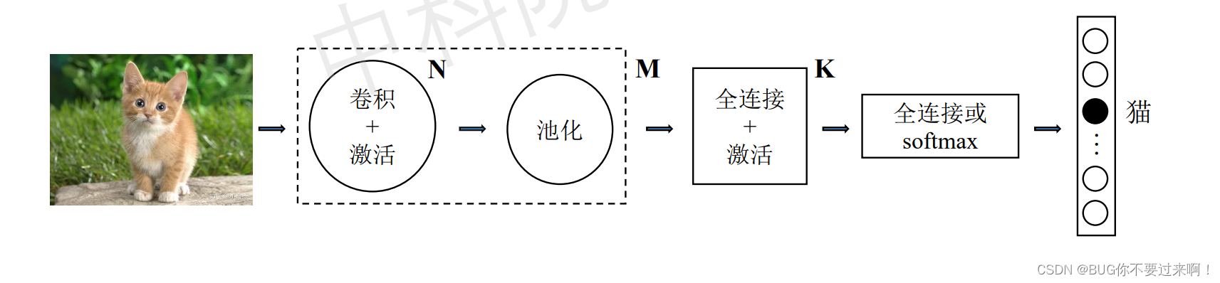 卷积神经网络 画图 卷积神经网络图片分类_分类