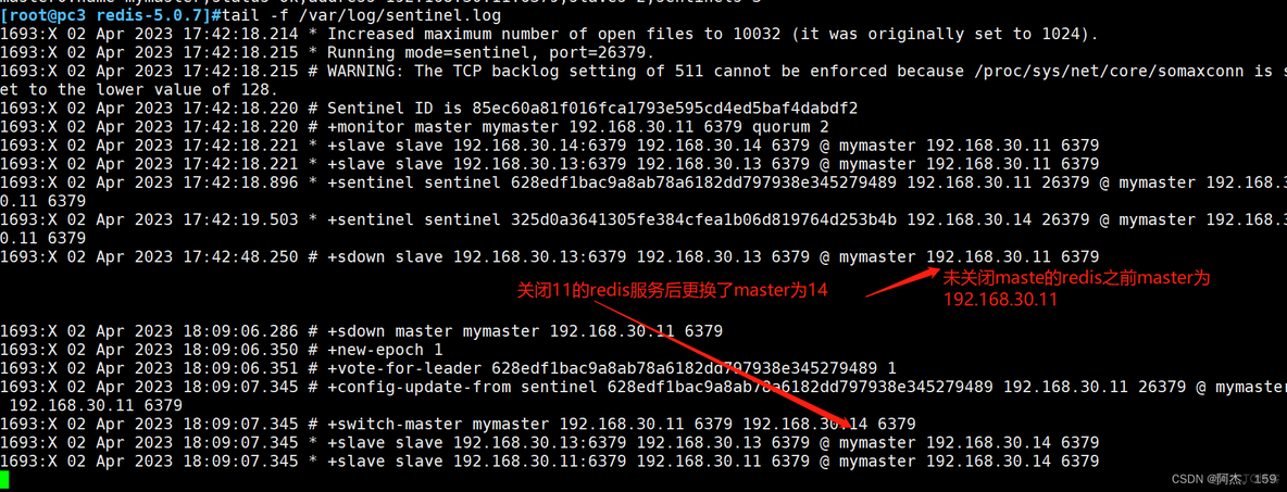 Jedis 哨兵Redis 读取 redis 哨兵 cluster_数据库_04