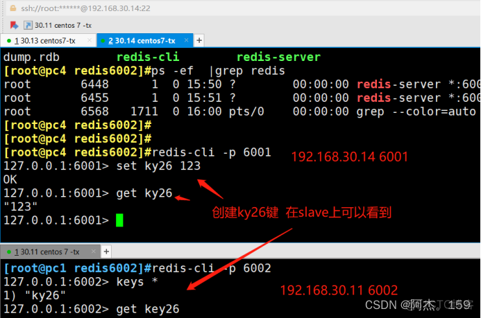 Jedis 哨兵Redis 读取 redis 哨兵 cluster_redis_10