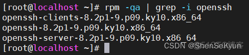 麒麟V10 arm架构 麒麟v10.1_系统安装_26