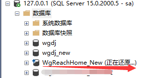 sql Server还原数据库设备添加不了文件 sql server2012还原数据库失败_数据库踩坑_03