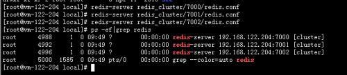 Redis可以存集合 redis集群怎么存数据_redis_05