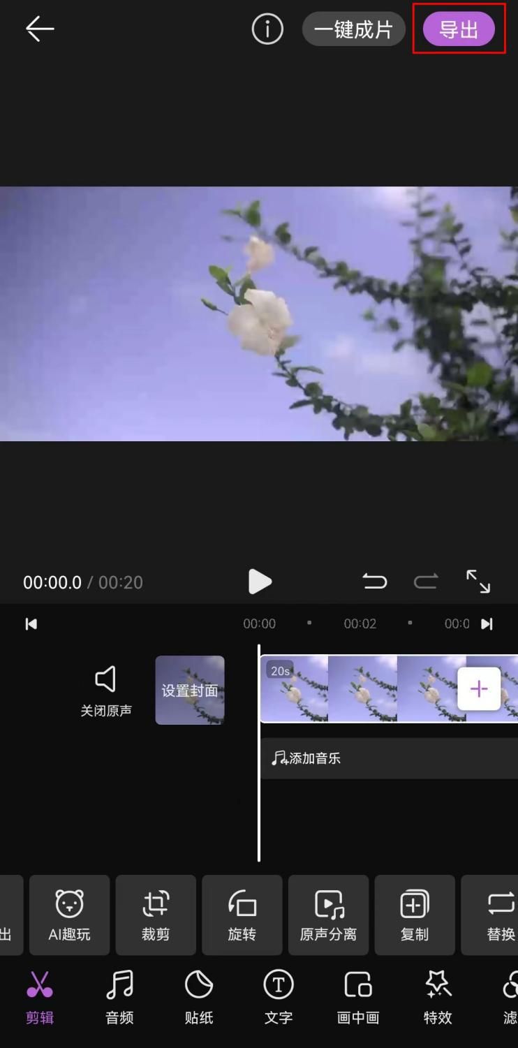 java短视频去水印小程序 videoparse短视频去水印解析_java短视频去水印小程序_08