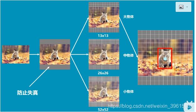 android使用yolov5实现目标检测 yolov3目标检测完整步骤_深度学习_03