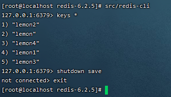 aof分析 redis redis aof过程_aof_07