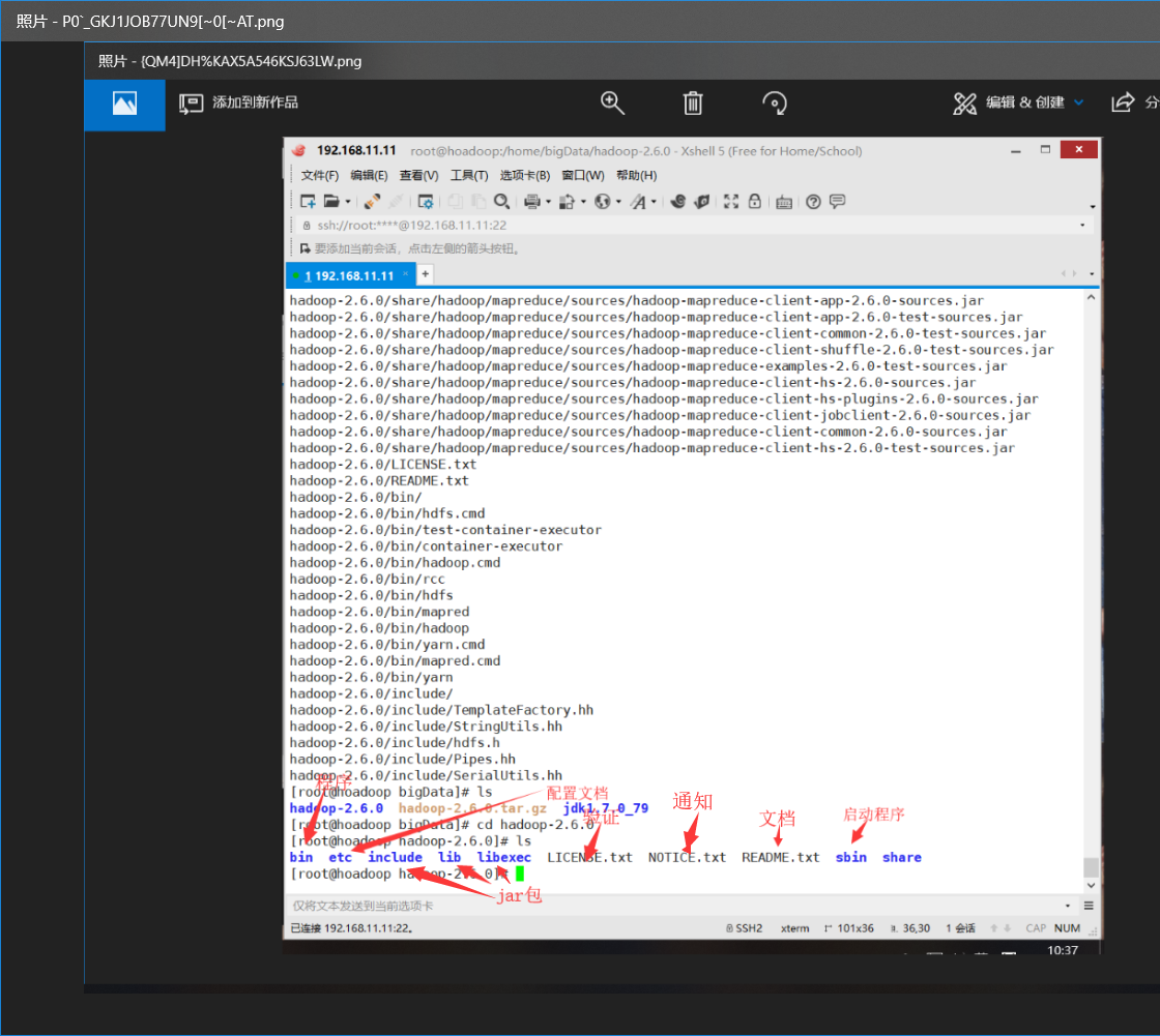 cdh 的hadoop 目录 hadoop目录结构_Hadoop