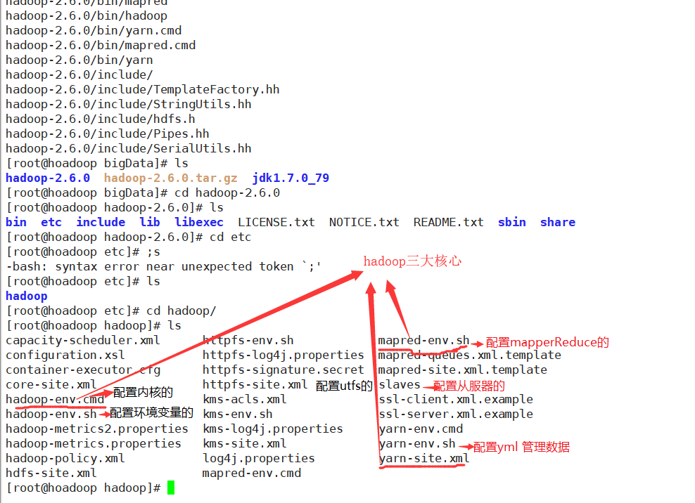 cdh 的hadoop 目录 hadoop目录结构_数据分析_02