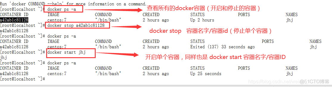 docker load 生成容器 docker容器创建_docker_11