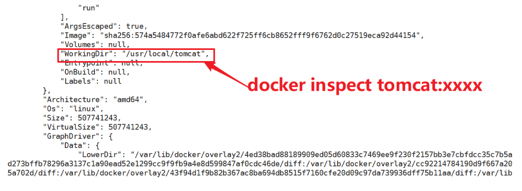 docker 启动容器后挂载目录 docker容器添加挂载目录_docker mysql 操作