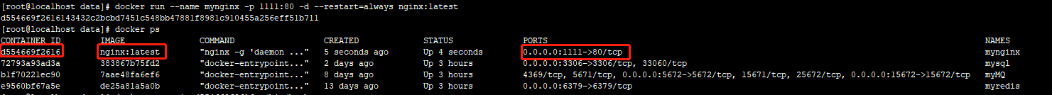 docker 安装nginx 并挂载配置 docker nginx挂载目录_html