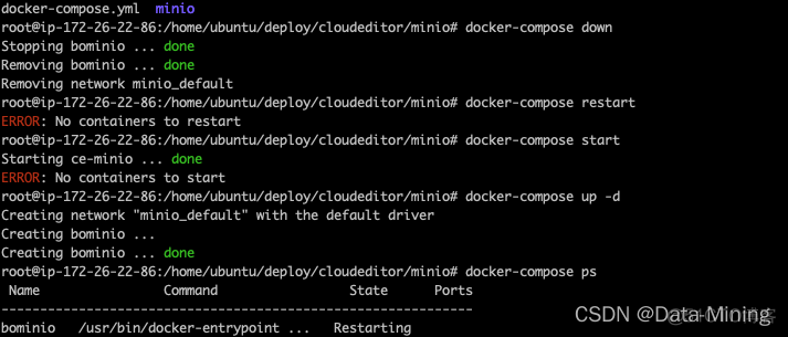 docker 容器一直在重启 docker一直starting_容器_02