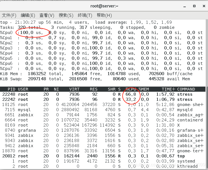 docker 容器名字更改 docker容器命名_docker_08