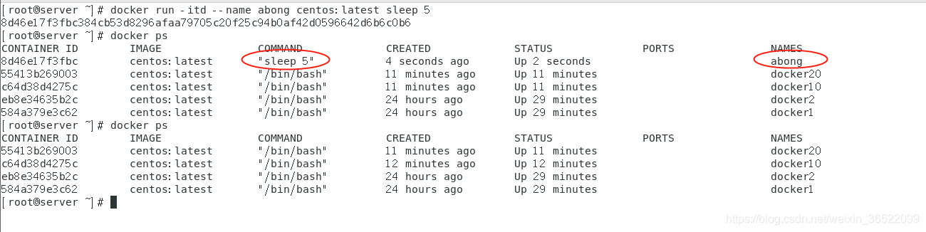 docker 容器名字更改 docker容器命名_服务器_09