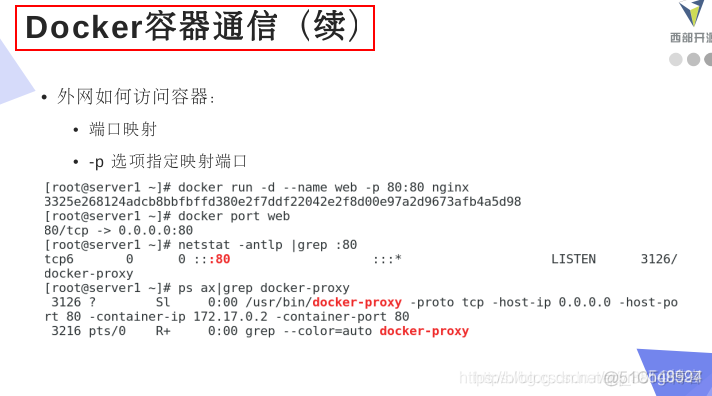 docker 容器外操作容器 docker容器内部与外网通信_自定义_21