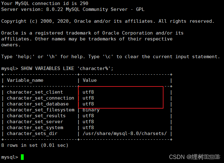 docker容器内ssh服务 docker ssm_docker_13