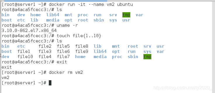 docker镜像的文件目录 docker镜像文件结构_docker file封装新镜像_04