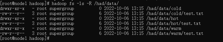 hadoop hdfs存储路径 hdfs文件存储_大数据_08