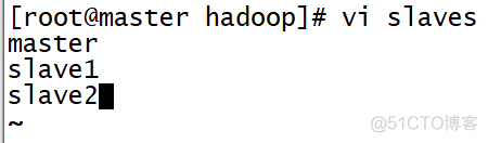 hadoop ip限制 hadoop的ip地址_hdfs_21