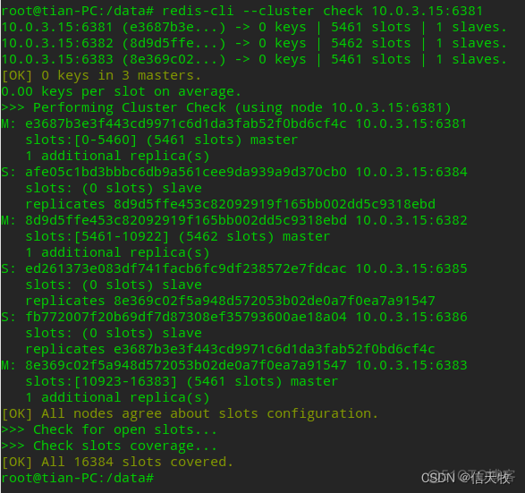 redis 容器的前台进程 redis容器化方案_redis 容器的前台进程_04