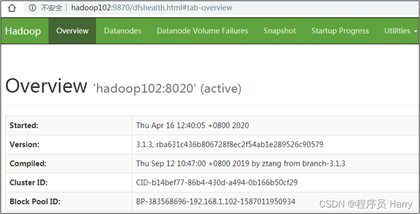 hadoop分布式 java hadoop分布式部署_大数据