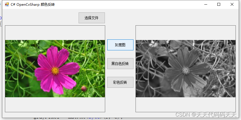 C# OpenCvSharp 颜色反转_Image