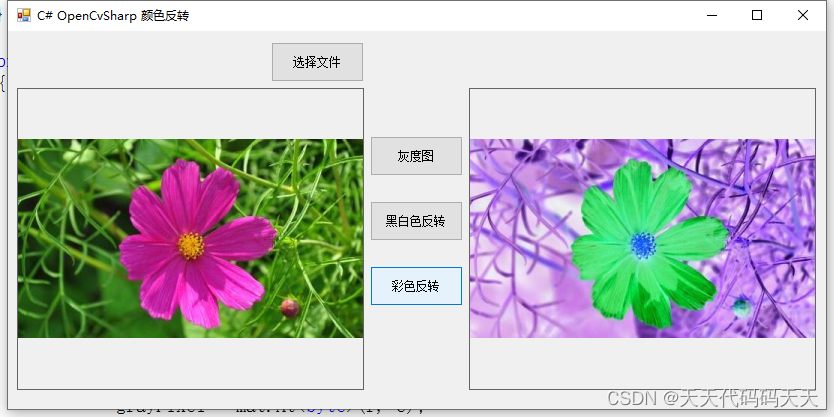 C# OpenCvSharp 颜色反转_Image_03