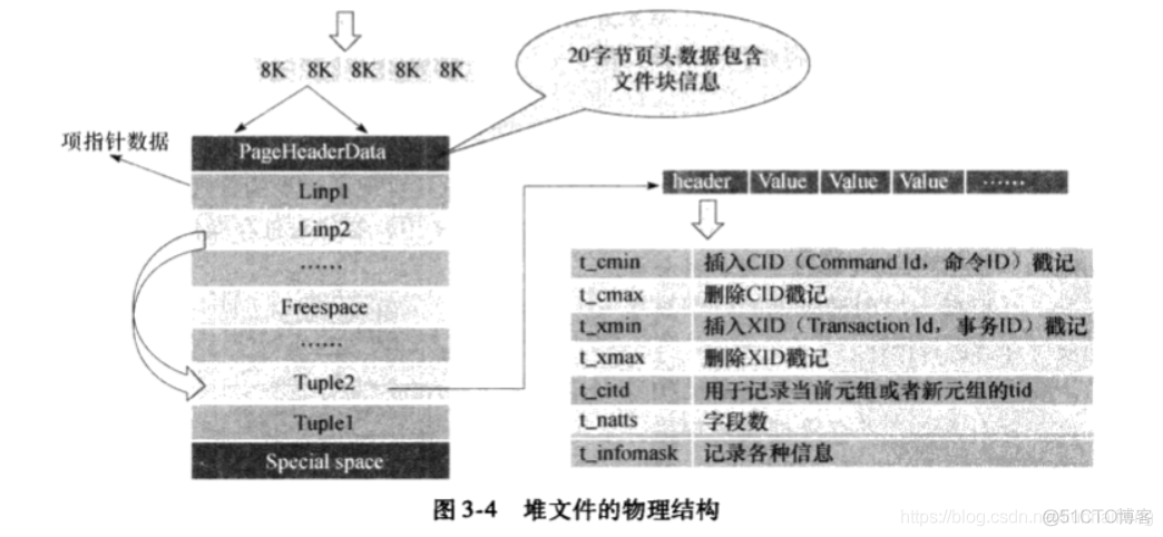 iOS内核架构 pg内核分析_存储管理_08