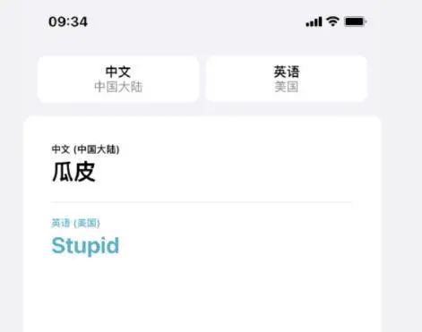 ios 手机ip iOS 手机实时翻译_离线_08