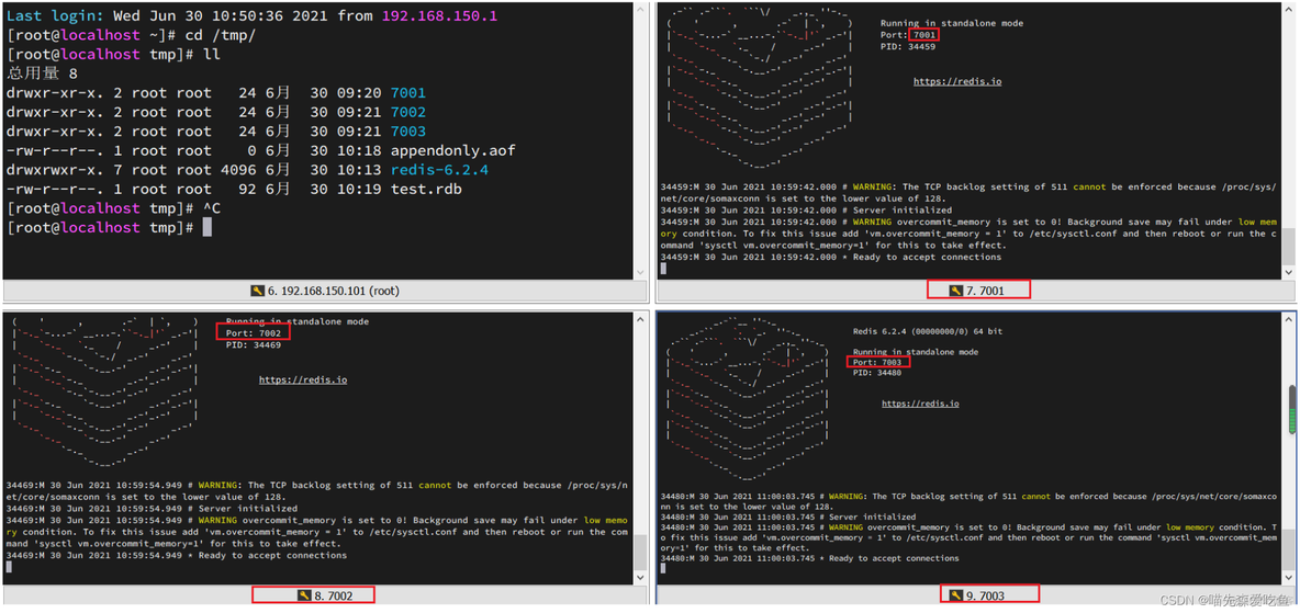 redis 分布式缓存配置 redis分布式缓存搭建_IP_04