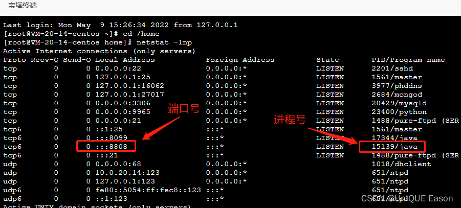 java 宝塔bt 宝塔怎么运行jar包_spring boot_12