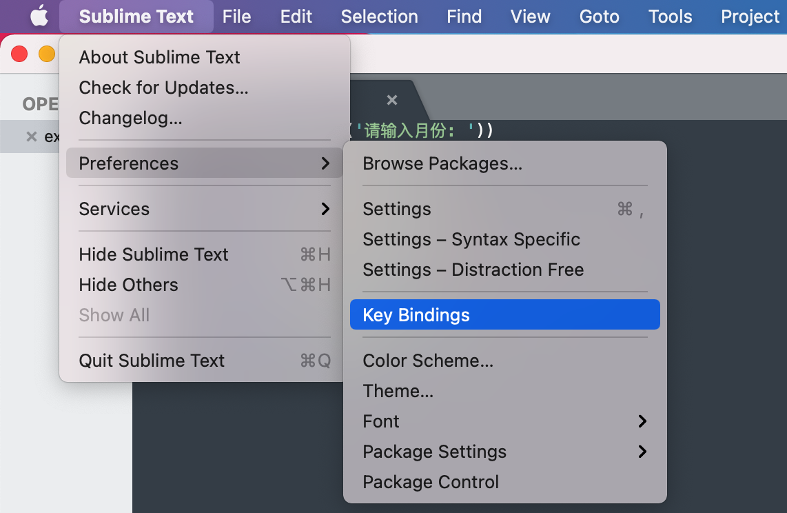mac sublime 配置 Python mac版sublime配置教程_Python_08