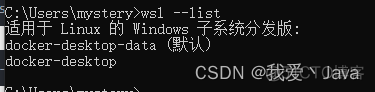 window系统下docker镜像放在哪里 docker里运行win10镜像_desktop_16