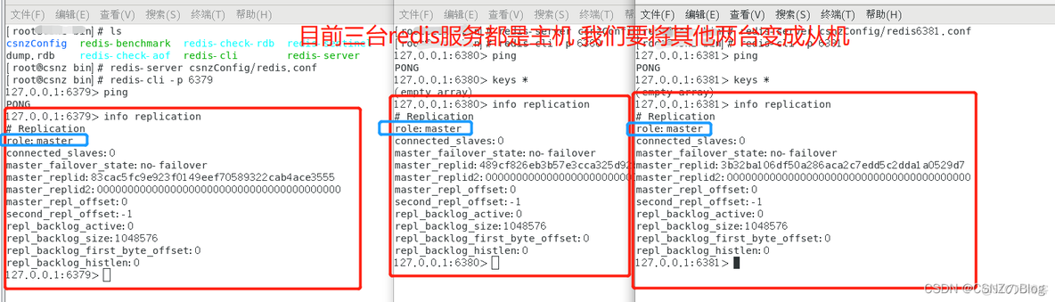 redis搭建主从复制 redis 主从复制_数据库_03