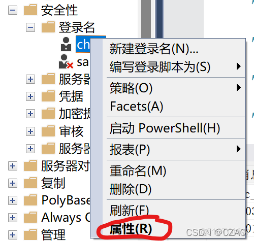 sql server如何登陆 sql server如何登录用户_用户名_05