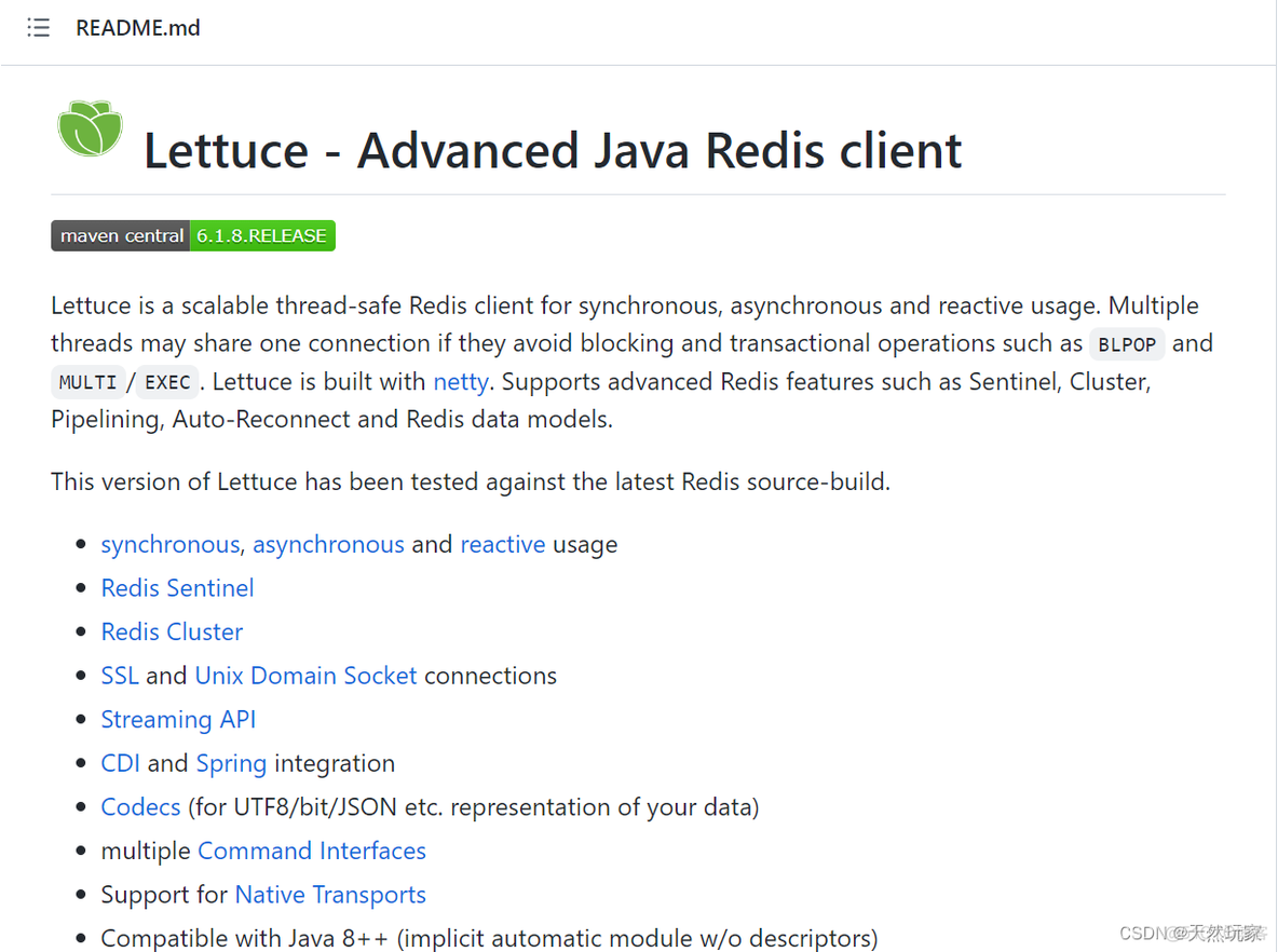 redisConf配置类 redis配置参数_java_09