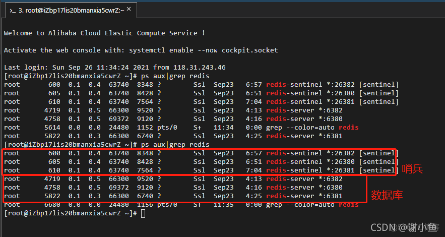 springboot整合redis哨兵配置 springboot redis 哨兵_redis_02