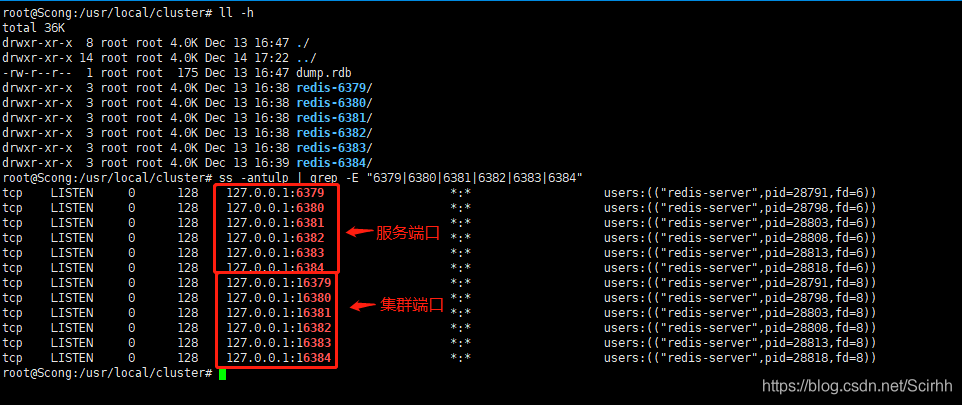 redis源码是用什么语言写的 redis cluster 源码_redis