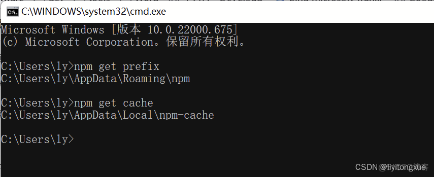 node.js安装步骤 安装node js_javascript_06