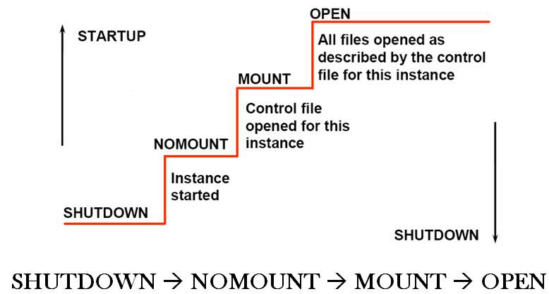 oracle的启动过程_Database