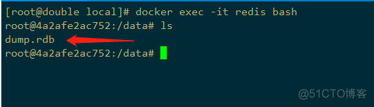 docker 停止redis服务 docker redis持久化_docker 停止redis服务_05