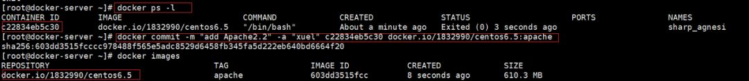 docker容器停止之后 es数据丢失 docker意外停止_nginx_06